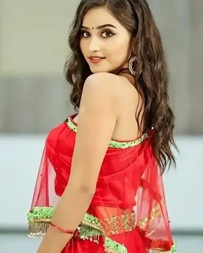 Escort In Mahemdavad